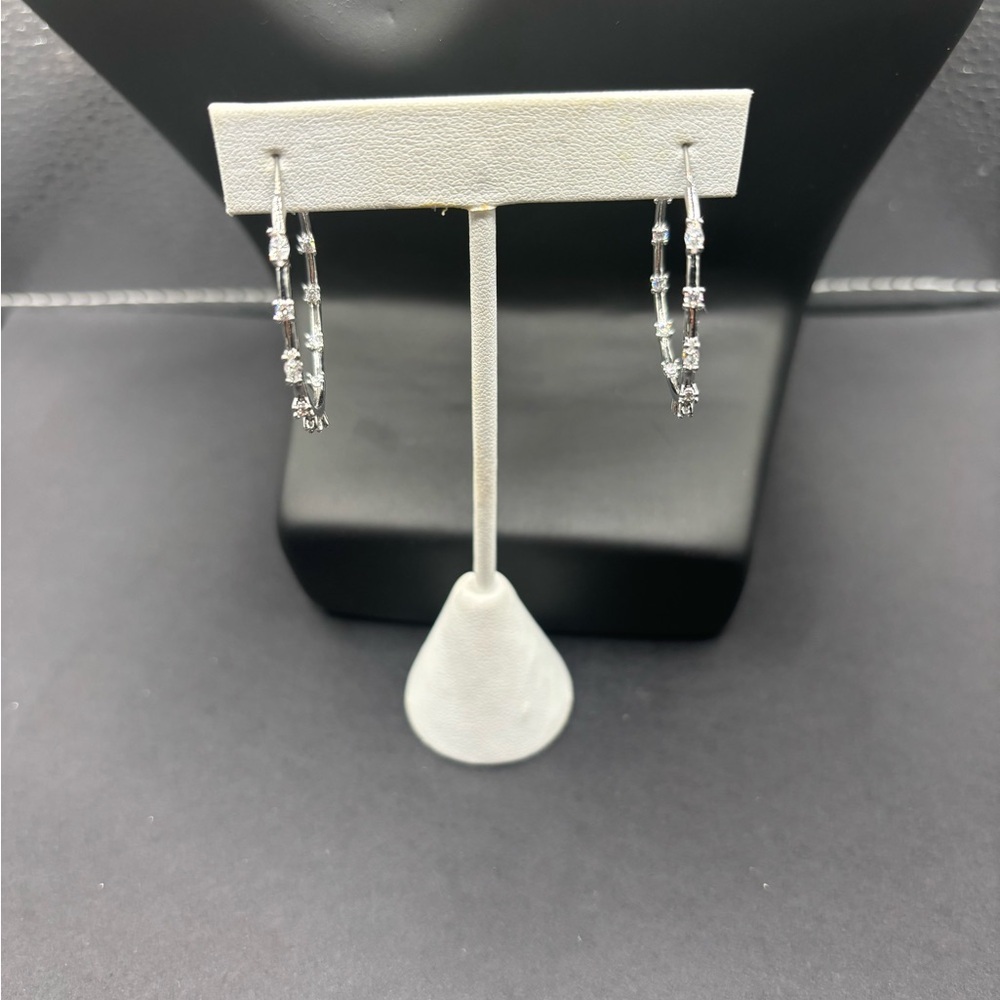 Elegant Silver Hoop Earrings